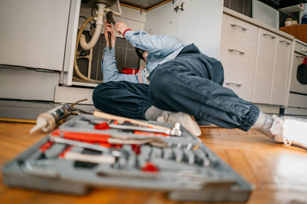 Best Plumbing Services Near Me  in Grandwood Park, IL