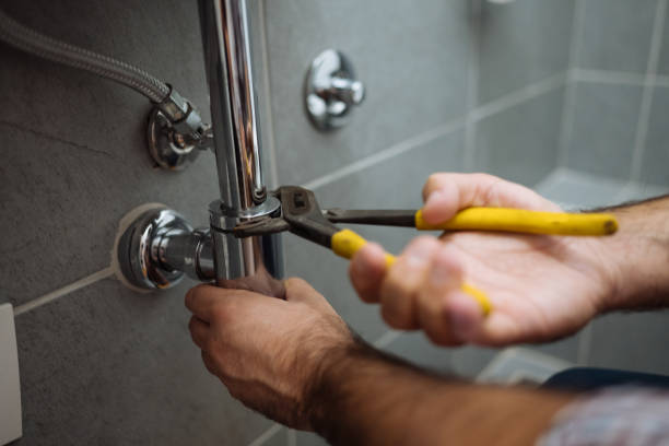 Best Local Plumber Services  in Grandwood Park, IL
